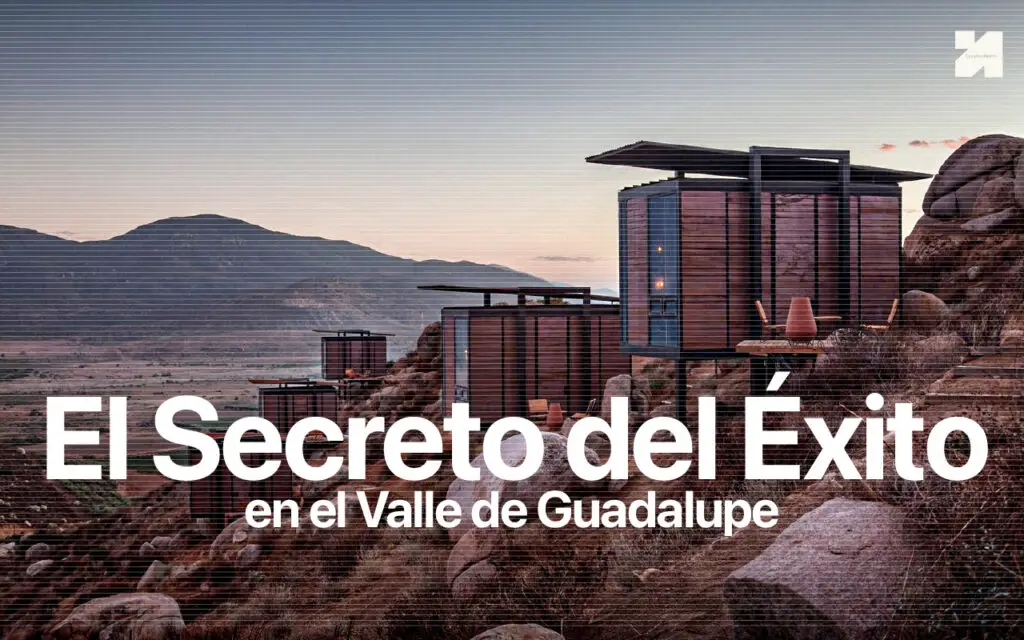 Estrategias de Marketing para VInícolas