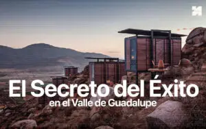 Estrategias de Marketing para VInícolas