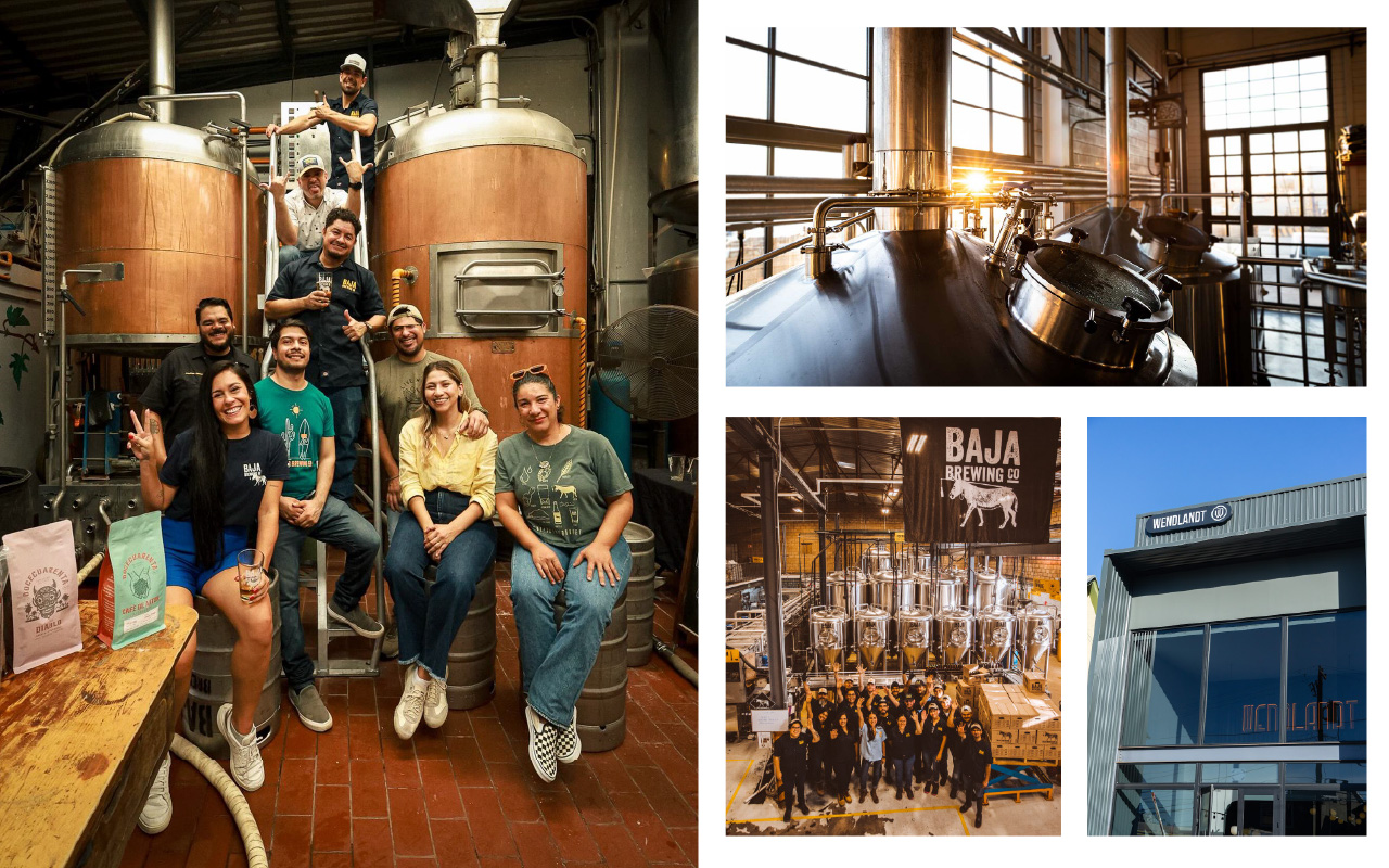 brewers in baja california