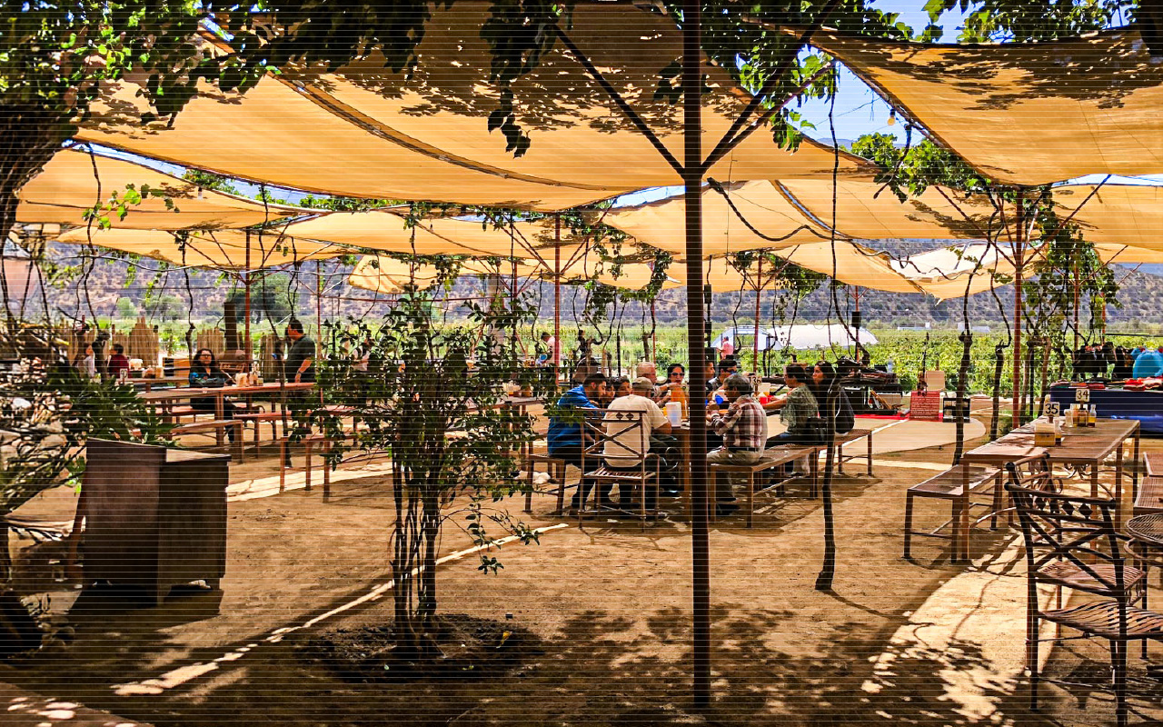 restaurant en Valle de Guadalupe